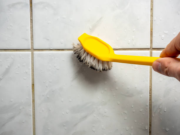Best Mold Removal and Inspection  in Taylor, AZ