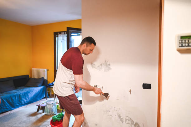 Best Certified Mold Removal  in Taylor, AZ